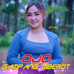 Ojo Gampang Mberot Album Art