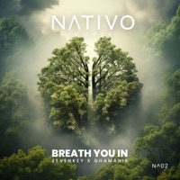 Breath You in - Single - Sevenkey & Ghamanik