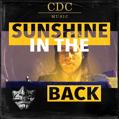 Sunshine in the Back (feat. Ashura) - Single