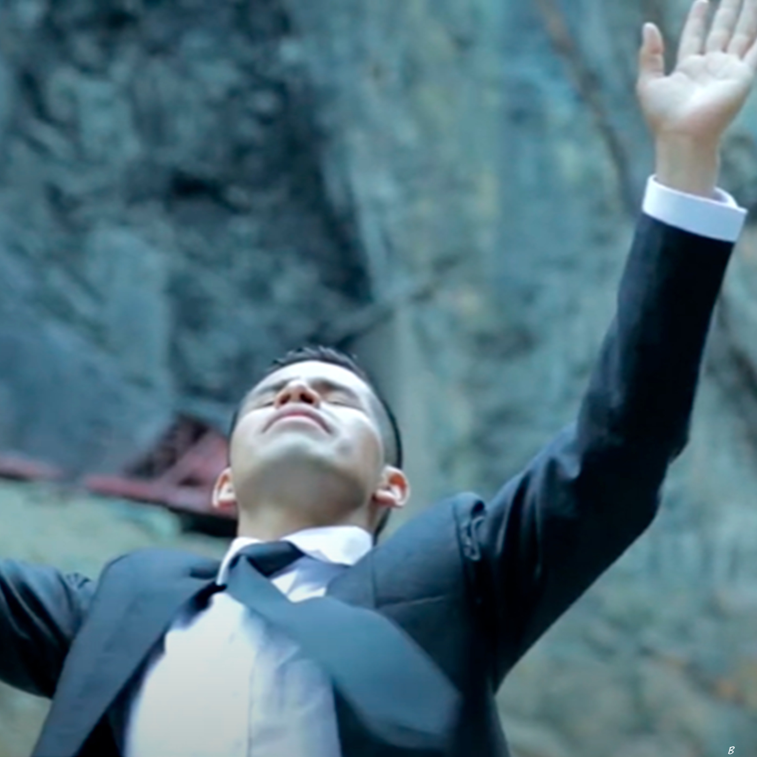 Como el Siervo Brama