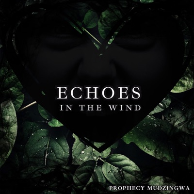 Echoes (feat. Dan Jackson, Martine Holliday & Anson Young) - Single