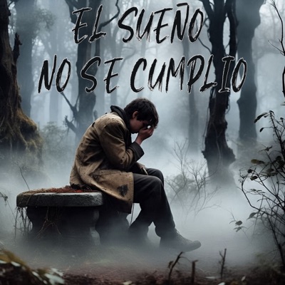 El Sueño No Se Cumplio - Single