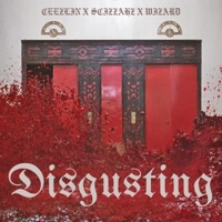 Disgusting - Single - Scizzahz, Wizard & Ceezlin