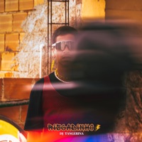Aquecimento Riscadinho - Single - Dj Tangerina