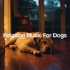 Relaxing Music for Dogs