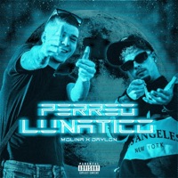 Perreo Lunático (feat. Molina) - Single - Daylon