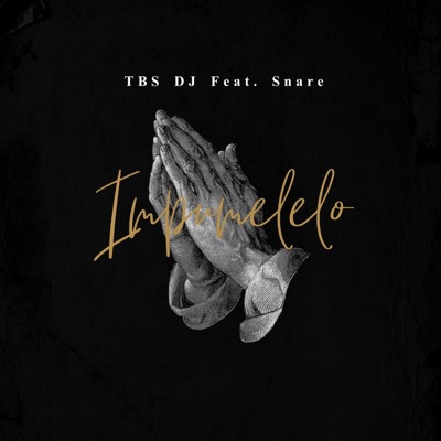 Impumelelo (feat. Snare) - Single