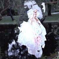 Blood - Single - Recourse