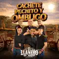 Cachete, Pechito y Ombligo