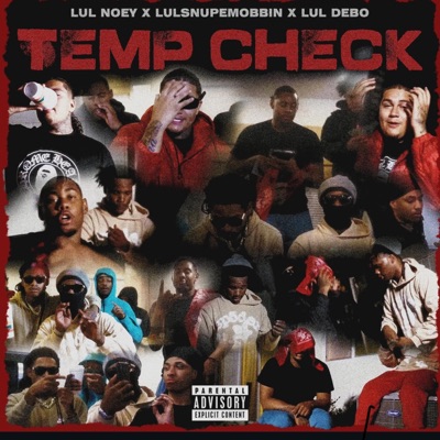 Temp Check (feat. Lul Noey & Lul Debo) - Single