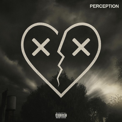 ch. 2 'the PERCEPTION collection'