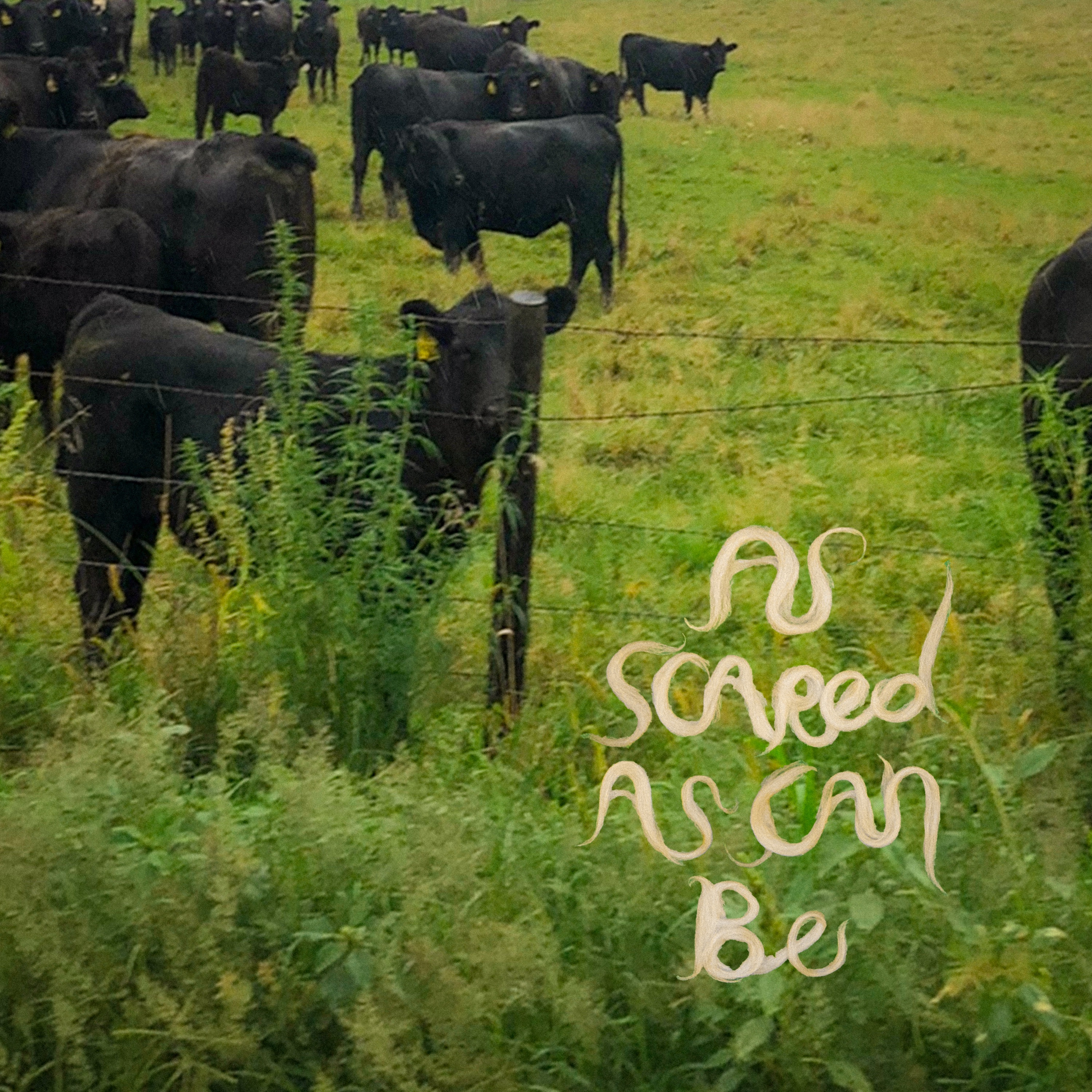 As Scared As Can Be - Single