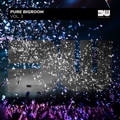 Pure Bigroom, Vol. 3