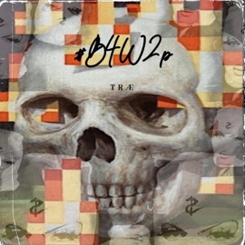 Wild4Life (feat. Macc) TRÆ & Cauge