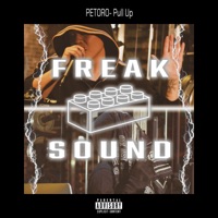 Pull Up (feat. PETORO) - Single - Freak Sound Central & Tam yellie