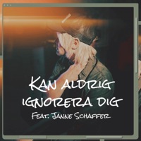 Kan aldrig ignorera dig (feat. Janne Schaffer) - Single - Jimmy Ahlén