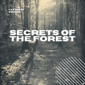 Secrets of the Forest: Ambient Nature Sounds