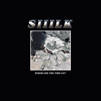 Where Did The Time Go?