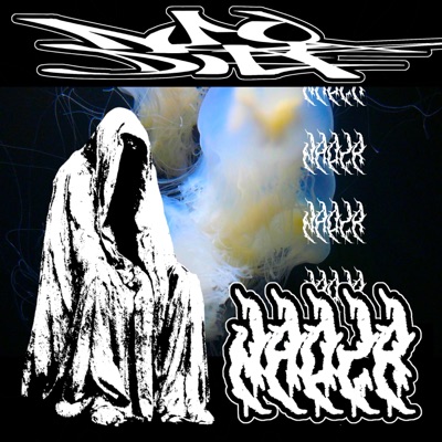 Nadir