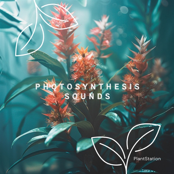 Photosynthesis Sounds: Rhythms for Plant Life