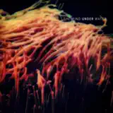Christopher Sisk - Complex Symbioses 2