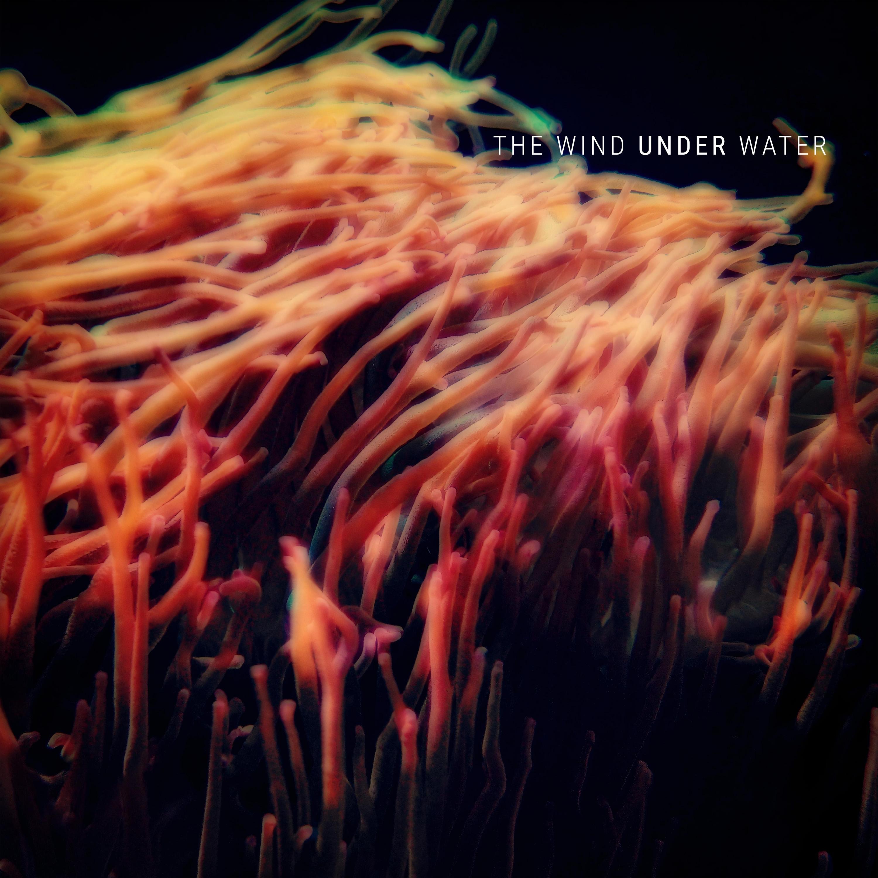 The Wind Under Water