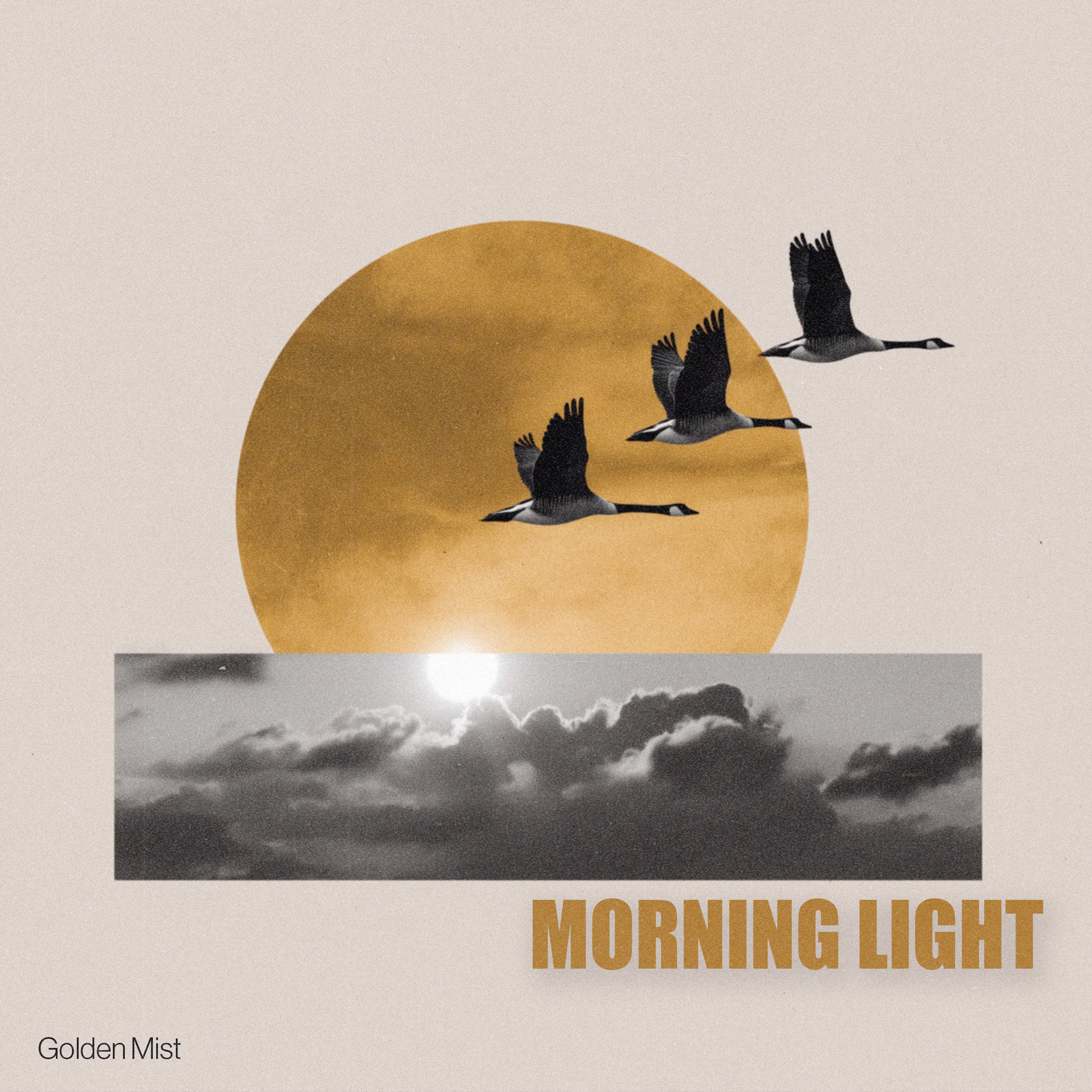 Morning Light - Single