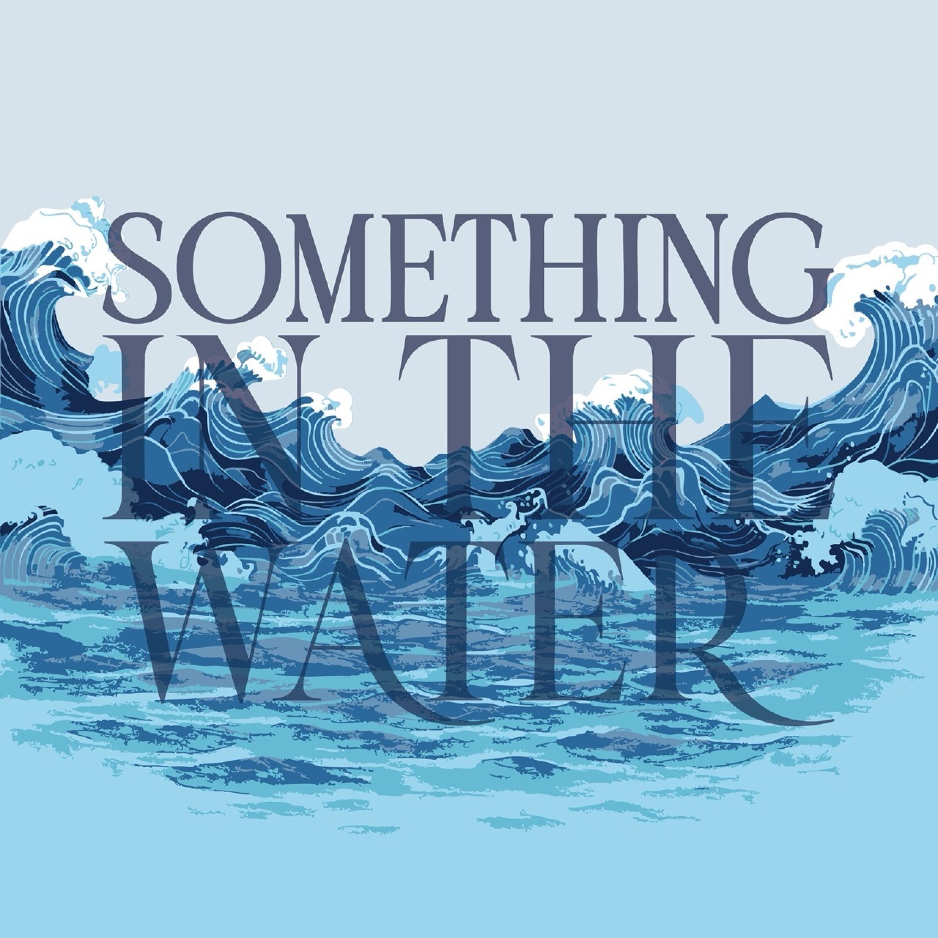 Something In The Water - Single
