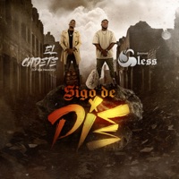 Sigo de Pie - Single - Spiritual Bless & El Cadete