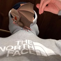 Pata60Nia 2021 - Single - Icynico, Emirsito & 1eloyyy