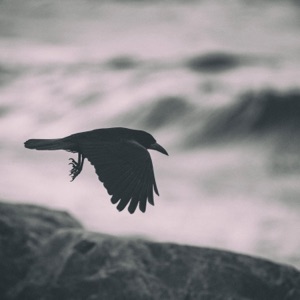 M'ANAM (feat. Michael McGlynn)