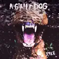 A Giant Dog -