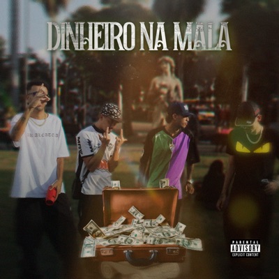 Dinheiro na Mala - Single
