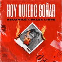 Hoy Quiero Soñar - Single - Aguanilé & Salsa Libre