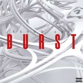 BURST Essco551