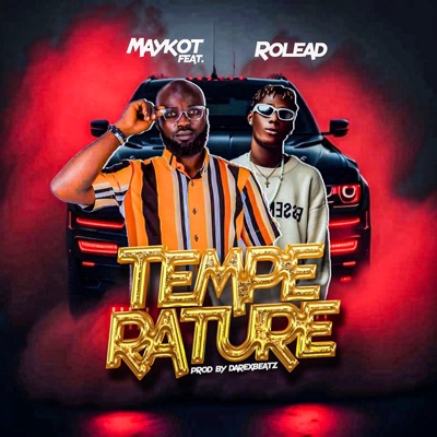 Temperature (feat. Rolead) - Single