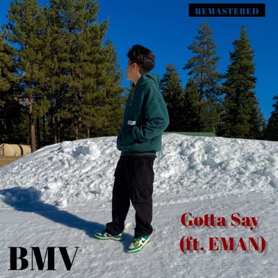 Gotta Say (REMASTERED) - Single