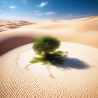 oasis - Single - skrn