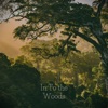 In to the Woods - Single