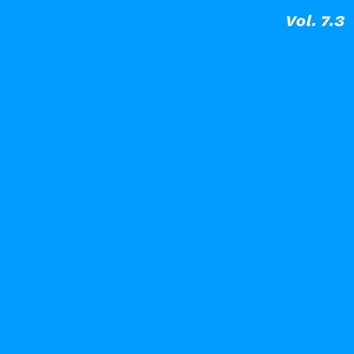 Vol. 7.3 - Single