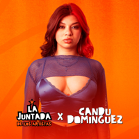 Tu Falta De Querer (Live) - La Juntada De Los Artistas &amp; Candu DomÍnguez Cover Art