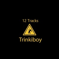 12 Tracks - Trinkiboy