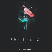 The Feels (Hey Ocean Cover) - Single - John Molinaro