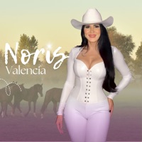 Usted Es un Mal Hombre - Single - Noris Valencia