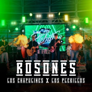 Rosones (EN VIVO) - Single