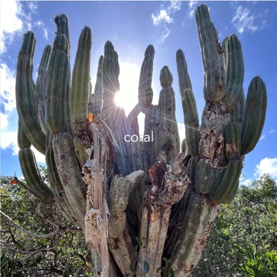 coral - Single
