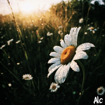 Catch the Light - Single
