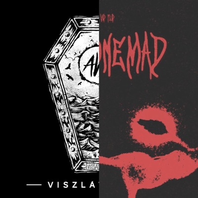 Viszlát Nyár X kidsgonemad! (Feistling VIP Flip) [Mashup] - Single