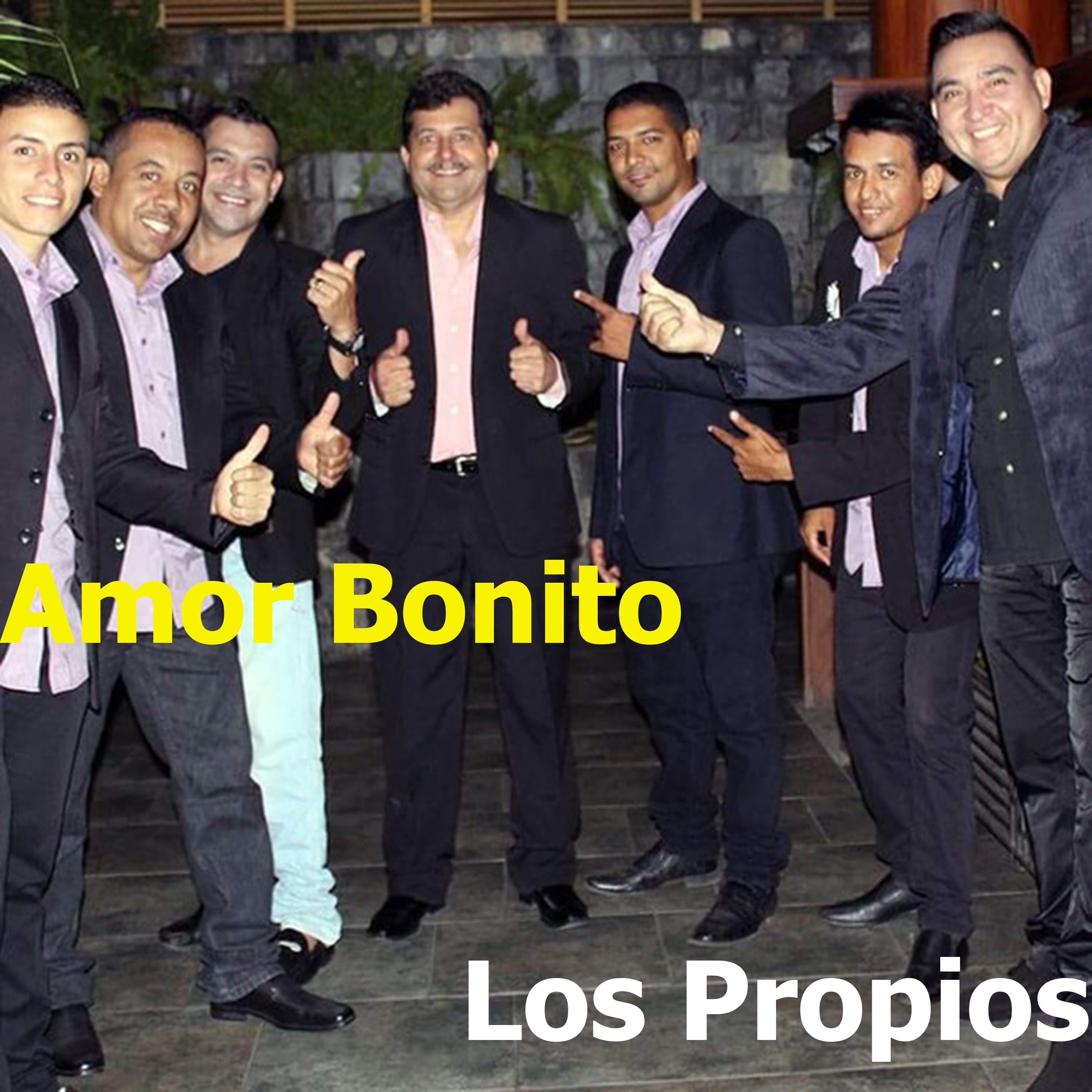 Amor Bonito - Single