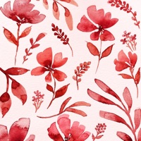 love songs (maybe that's obvious) - Single - Drunk Girl